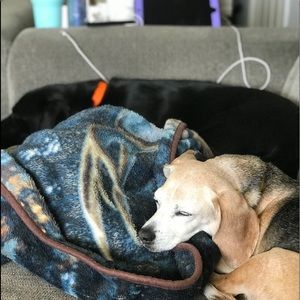 Meet your Posher, Alison